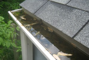 Main Line Gutter Powerwashing